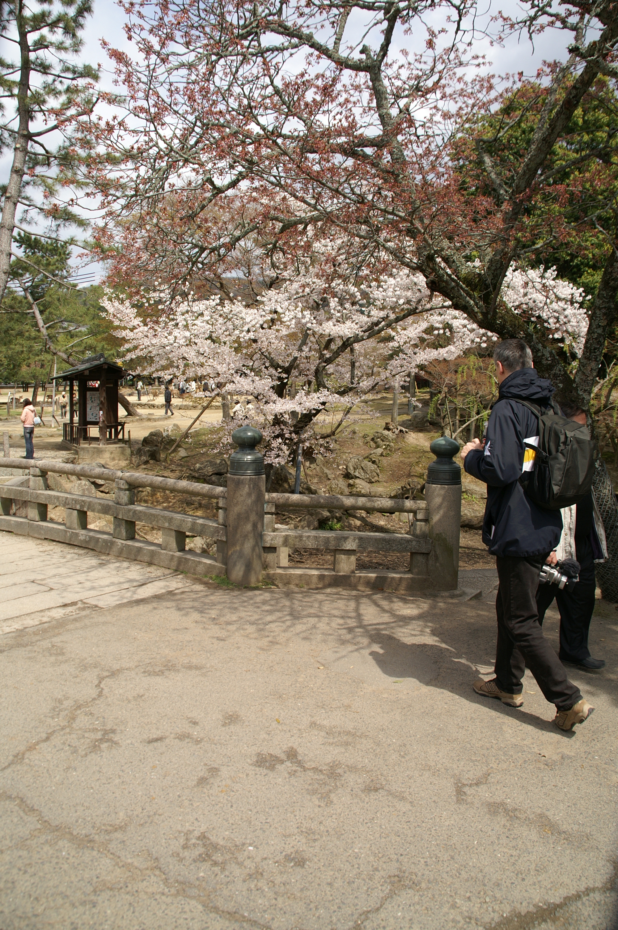 31-Nara-Todaij-ji-Temple 31-Nara-Todaij-ji-Temple.jpg