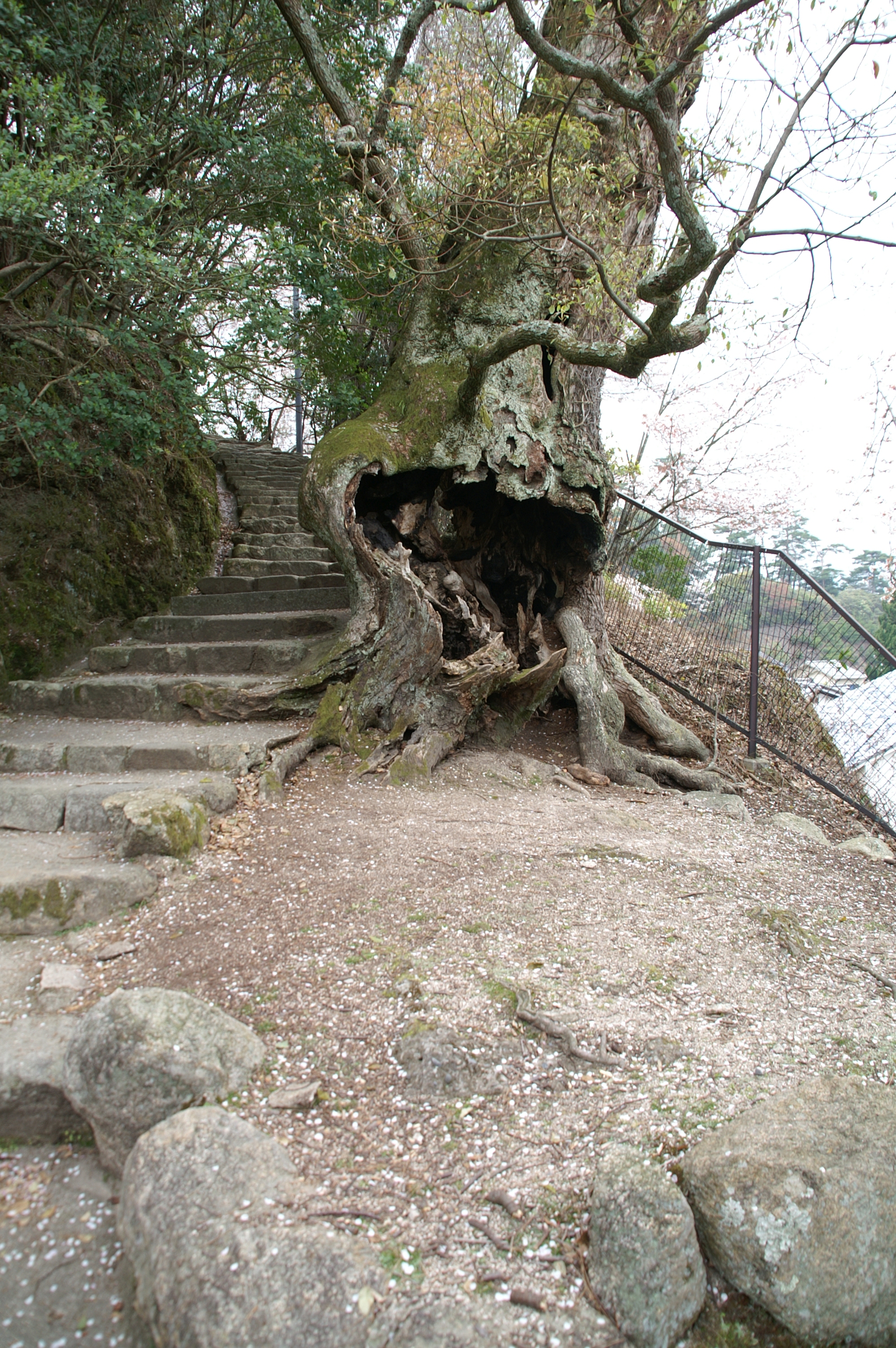 77-Insel-Miyajima-Itsukushima-Shrine 77-Insel-Miyajima-Itsukushima-Shrine.jpg