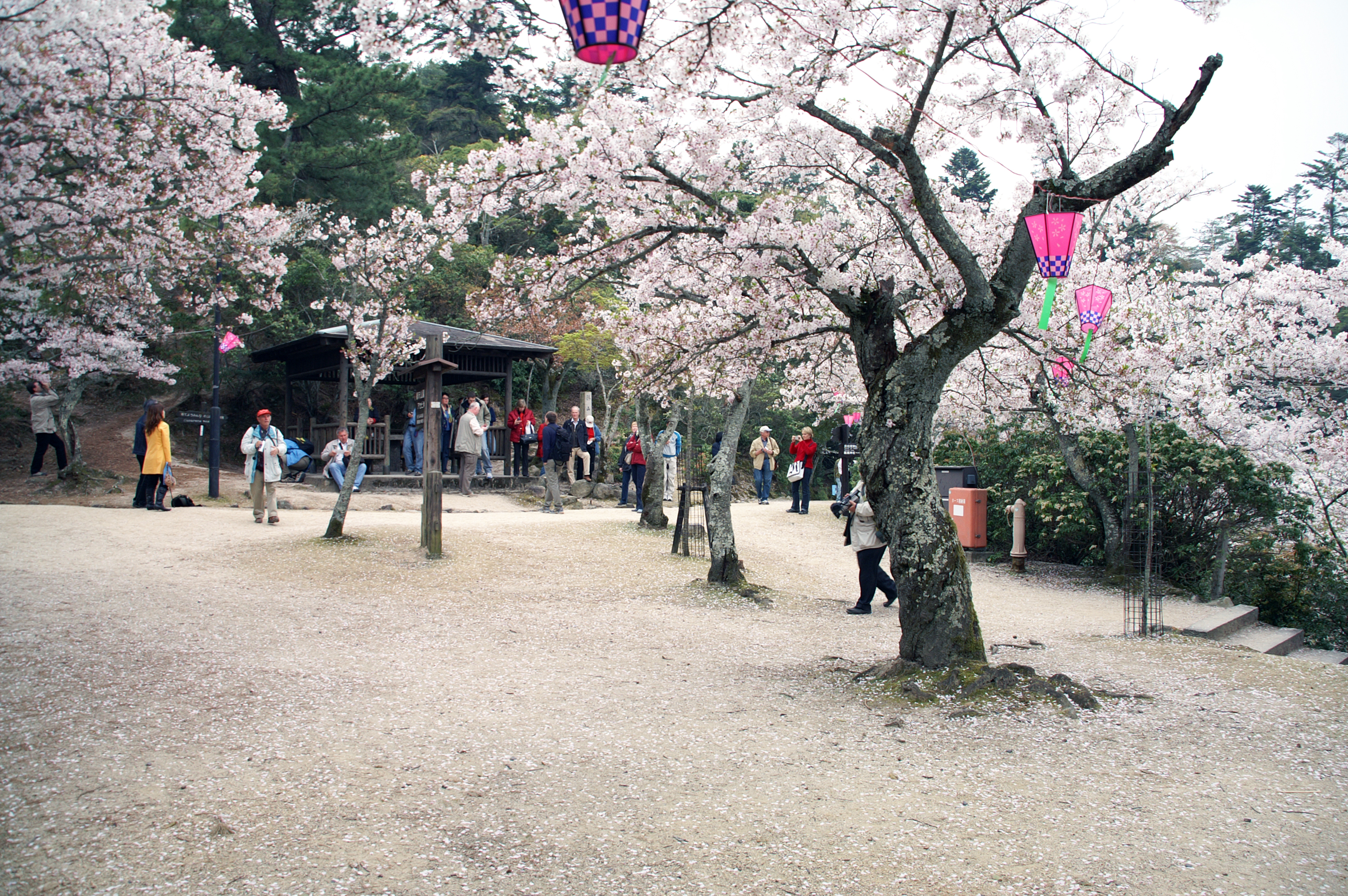 80-Insel-Miyajima-Itsukushima-Shrine 80-Insel-Miyajima-Itsukushima-Shrine.jpg