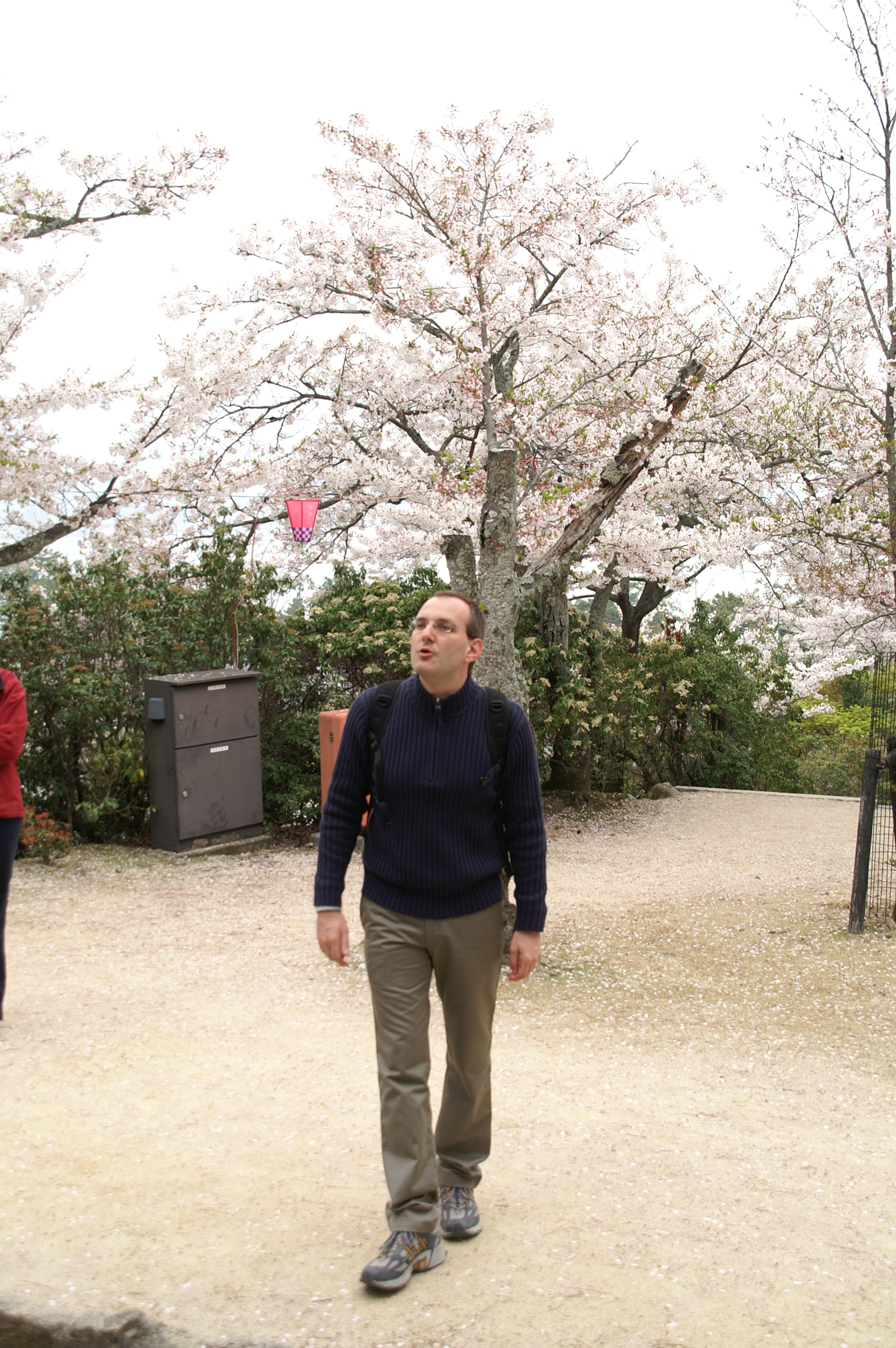 85-Insel-Miyajima-Itsukushima-Shrine 85-Insel-Miyajima-Itsukushima-Shrine.jpg