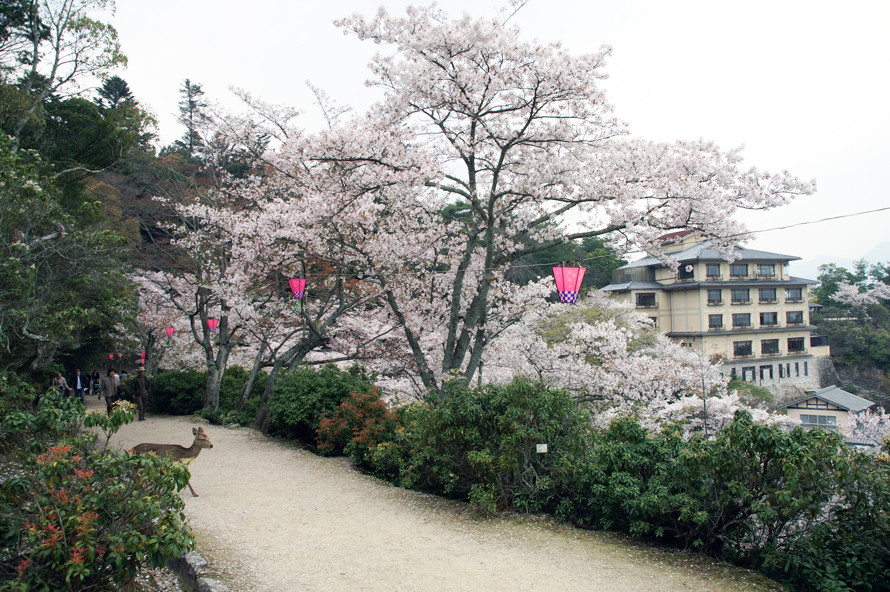 89-Insel-Miyajima-Itsukushima-Shrine 89-Insel-Miyajima-Itsukushima-Shrine.jpg