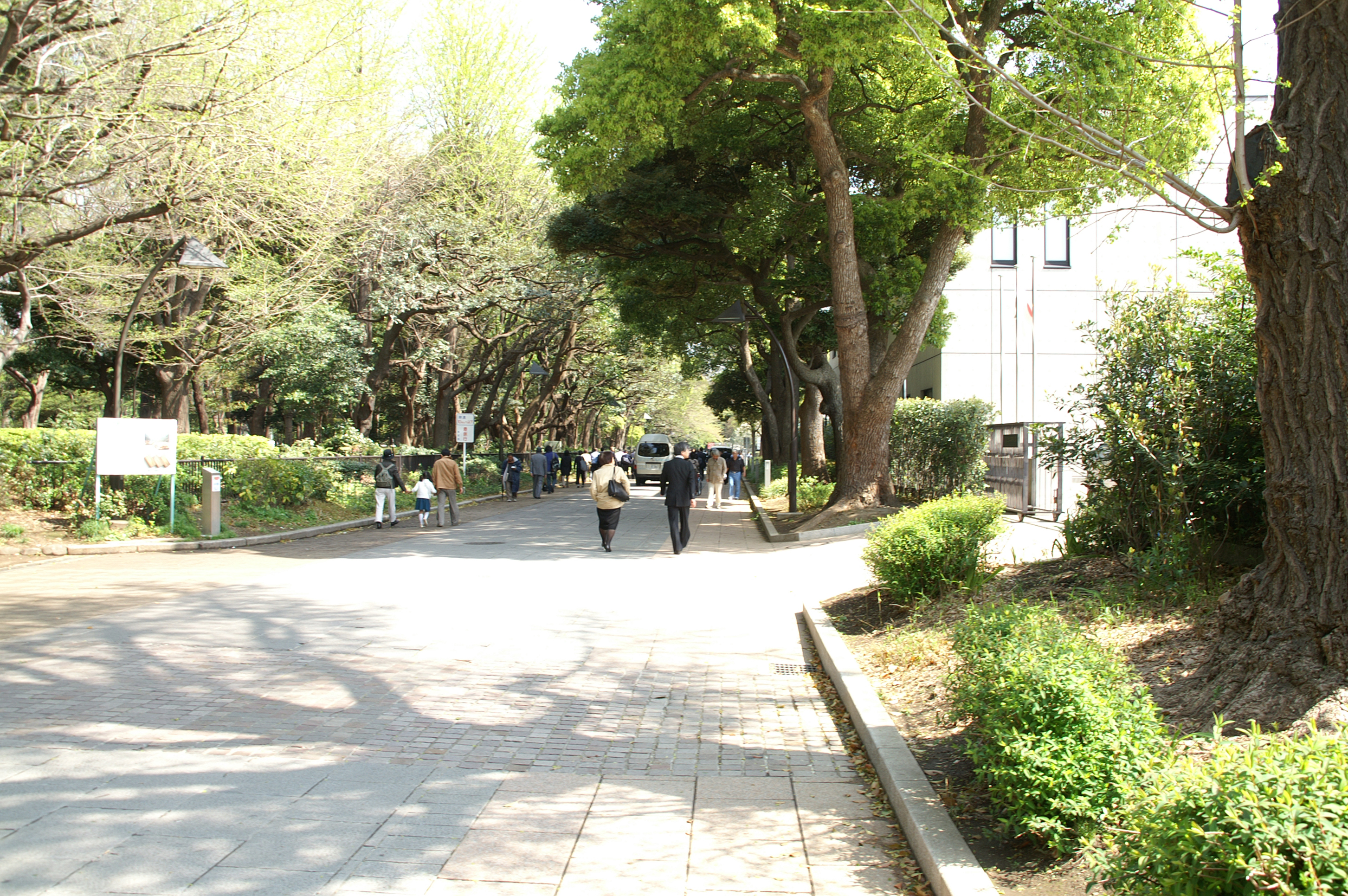 1-Tokyo – Ueno Park 1-Tokyo - Ueno Park.JPG
